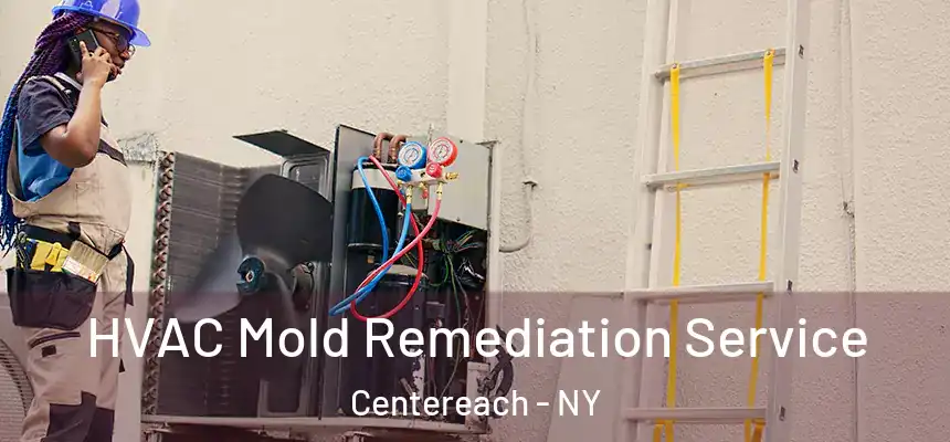  HVAC Mold Remediation Service Centereach - NY
