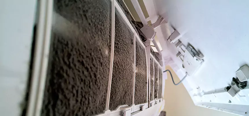 Preventive Air Duct Bacteria Removal in Centereach