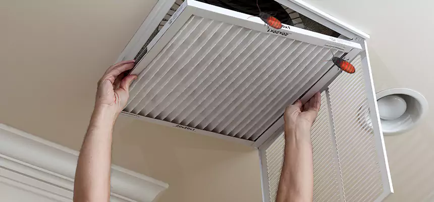 Preventive Cockroach-Proofing for Ducts in Centereach