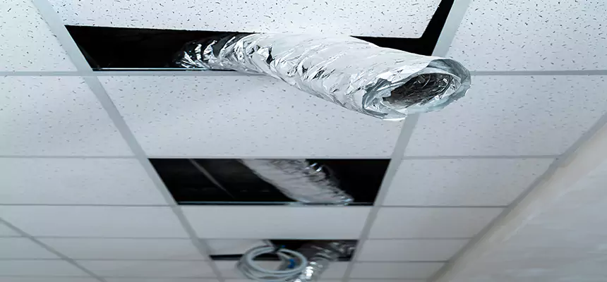 Our Air Duct Pet Hair Removal Services in Centereach, NY