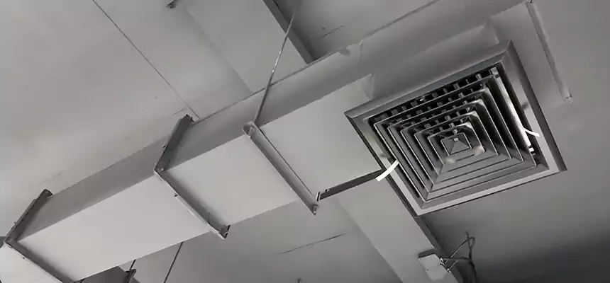 Our Rodent Droppings In Vents Services in Centereach, NY