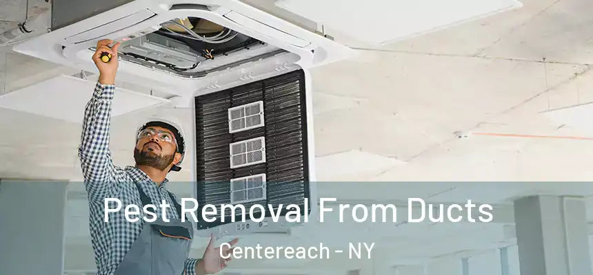  Pest Removal From Ducts Centereach - NY