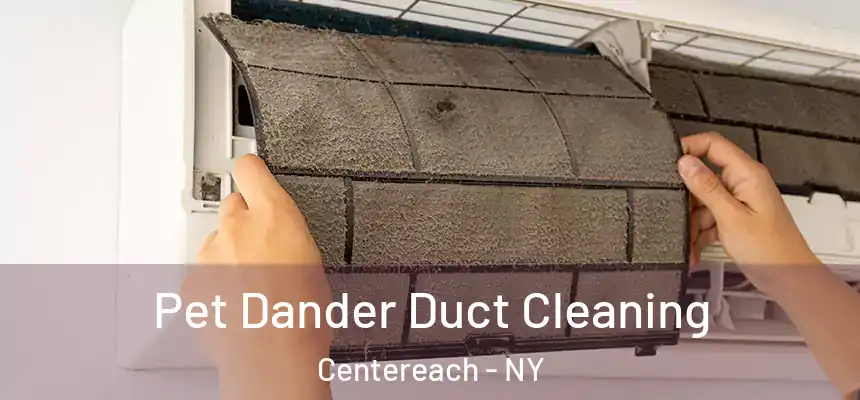Pet Dander Duct Cleaning Centereach - NY