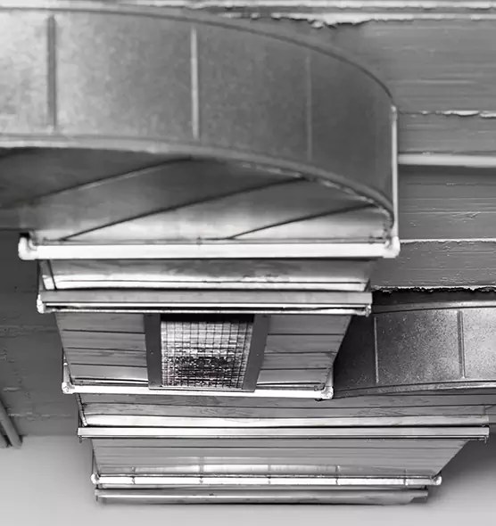 Professional Air Duct Pest Removal in Centereach, NY