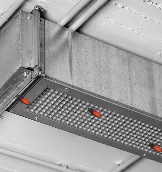 Affordable Insect Removal from Air Ducts in Centereach, NY
