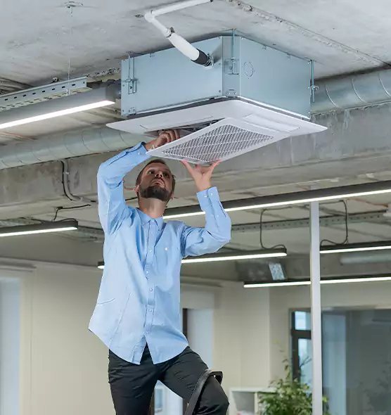 Advanced Rodent Droppings In Vents in Centereach, NY