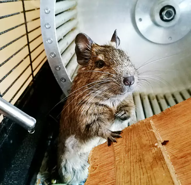 Why Homeowners & Businesses Trust Us Centereach, NY