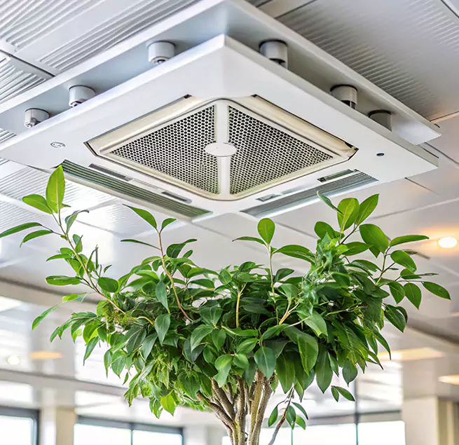 Why Homeowners & Businesses Trust Us in Centereach, NY?