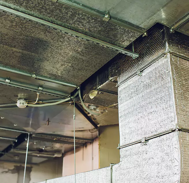 Why Homeowners & Businesses Trust Us in Centereach, NY?